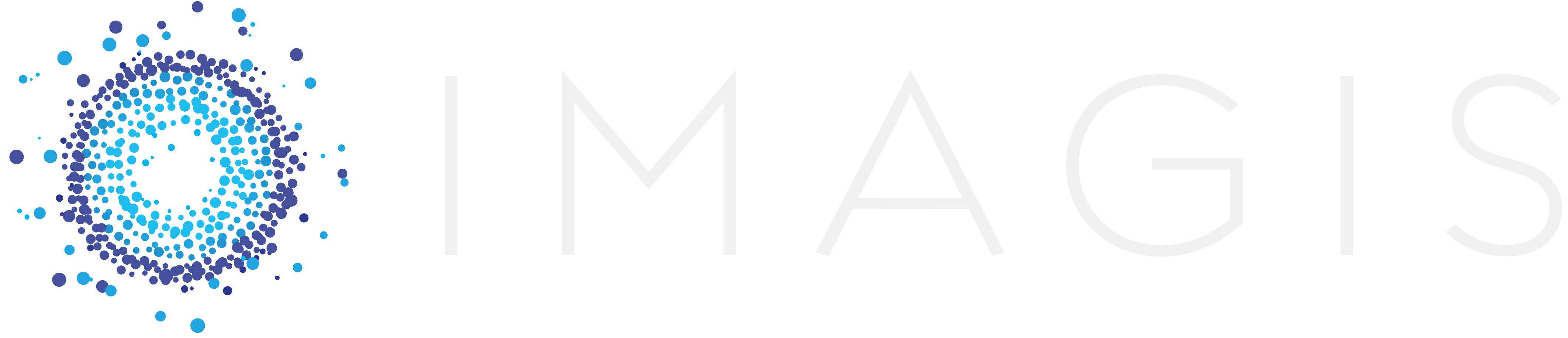 Imagis Logo Logo