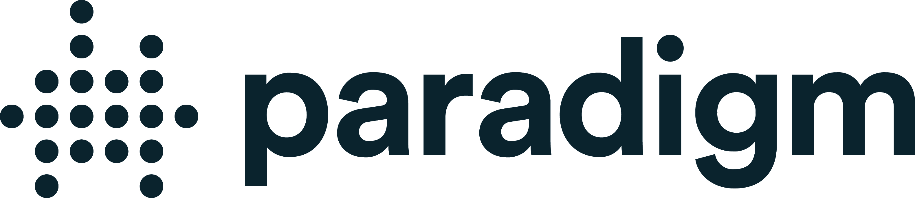 Paradigm Logo Logo