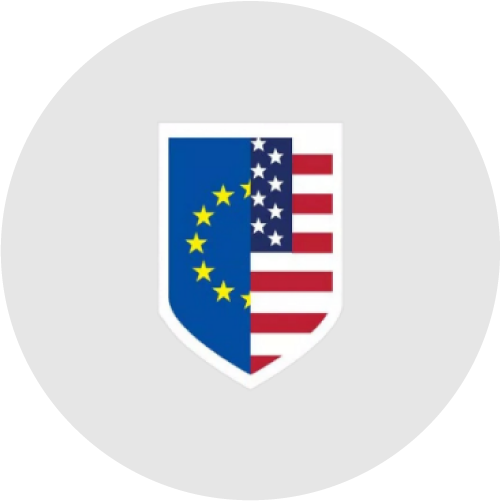 Data Privacy Framework (DPF)